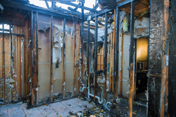 Professional Structural Rebuild technician working in Pikesville, MD